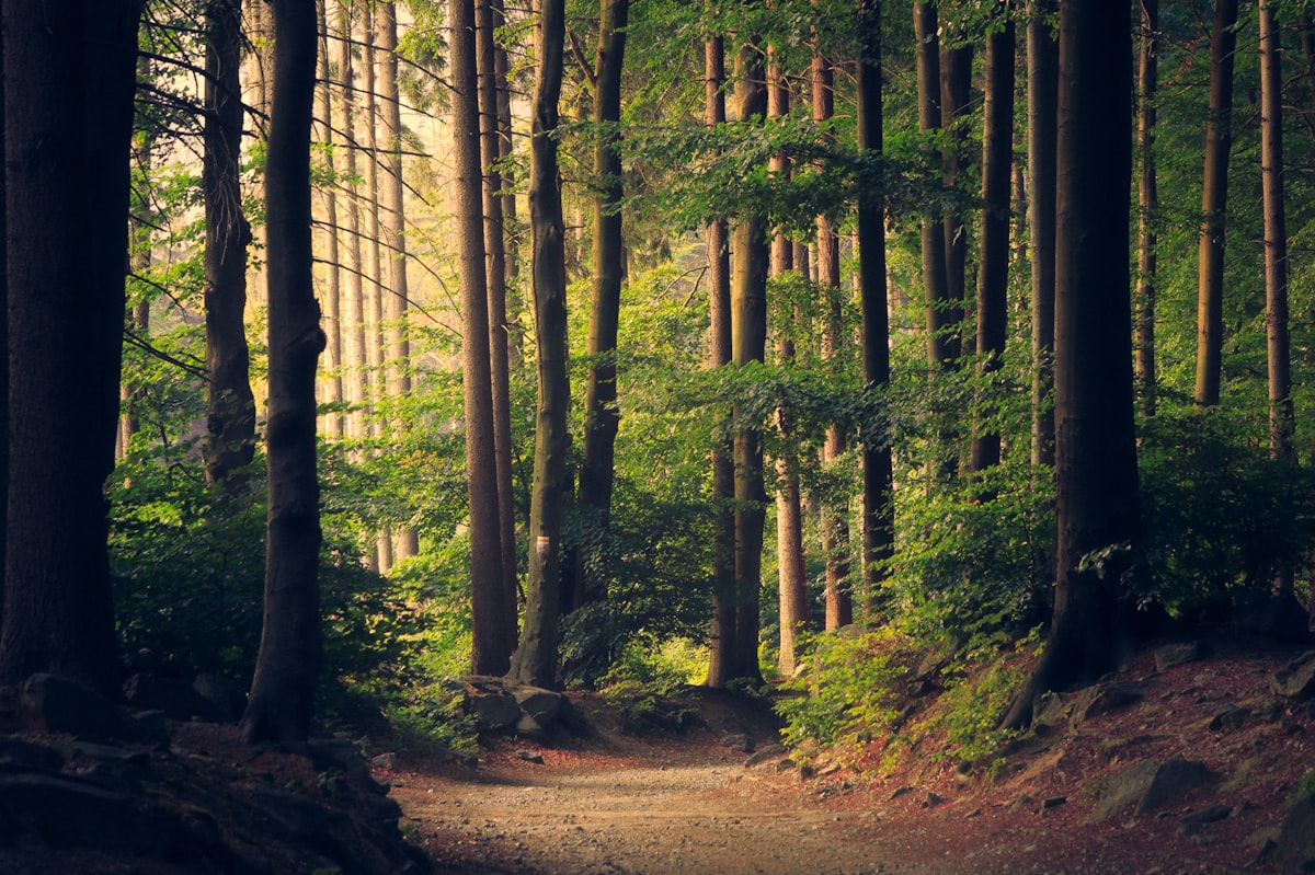 Natural World Wonders [2026]: 9 Places That Make You Believe in Sci...