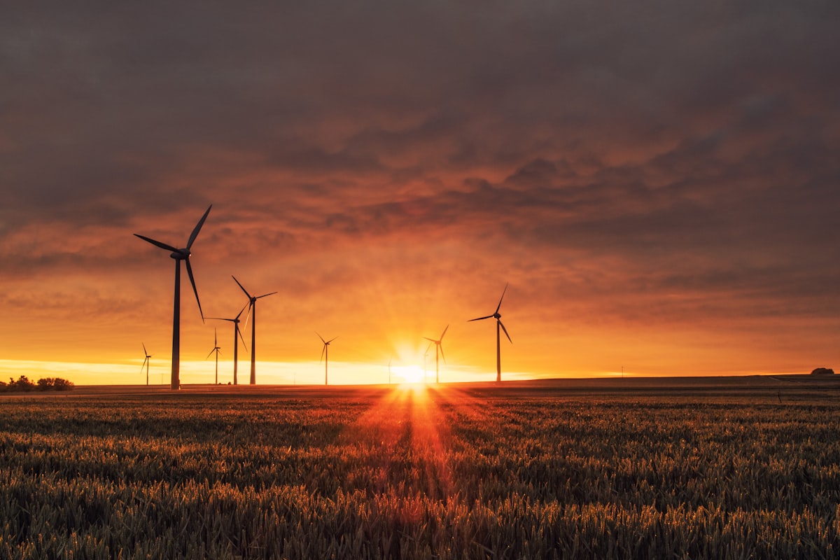 Global Environment in [2026]: Crisis, Progress, and What Comes Next