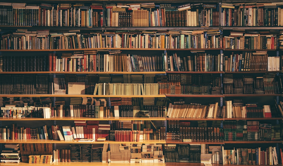 Introduction to Philosophy [2026]: 7 Big Questions Worth Understanding