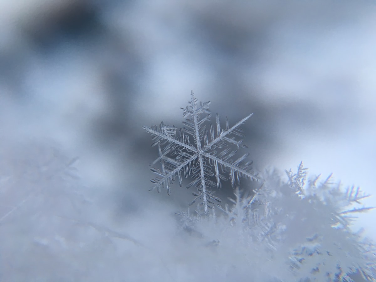 Winter Car Maintenance [2026]: What Actually Matters vs. What Doesn't