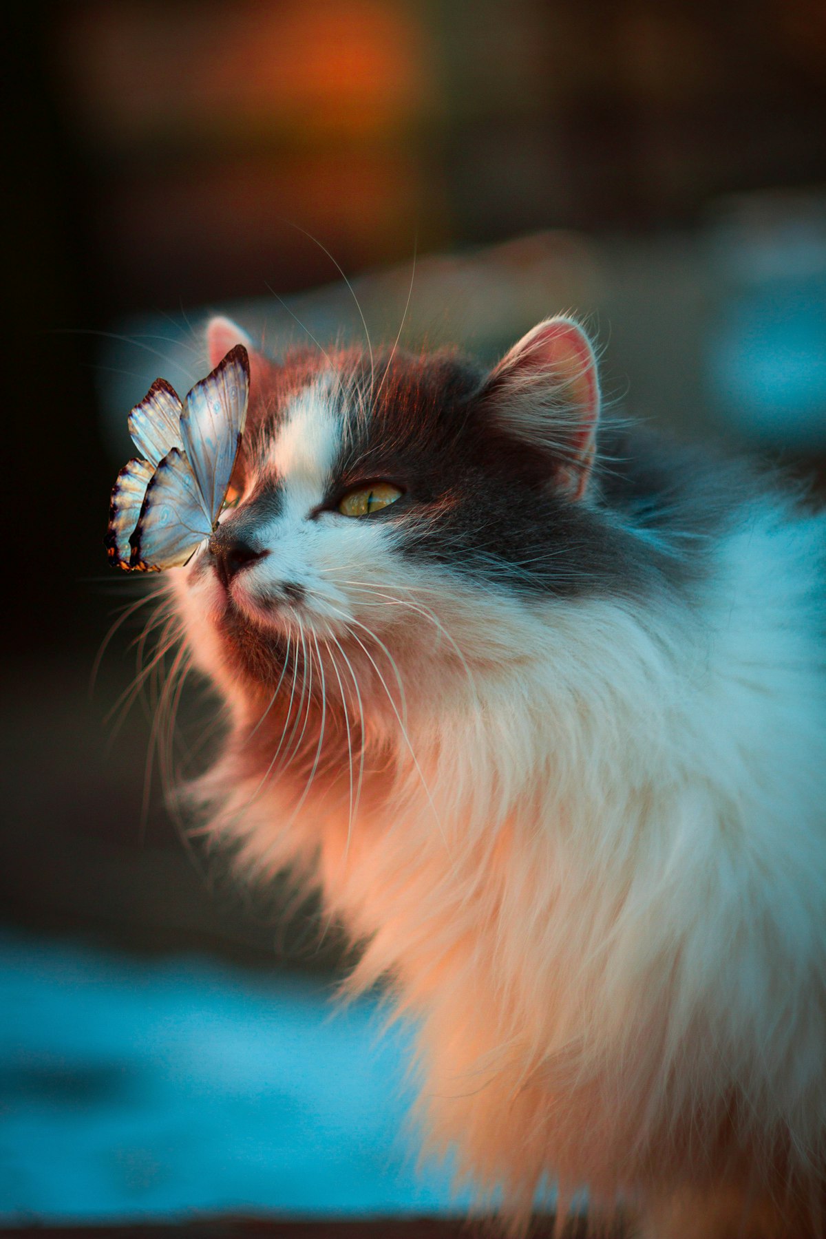 Understanding Cat Behavior — What Owners Need to Know [2026]