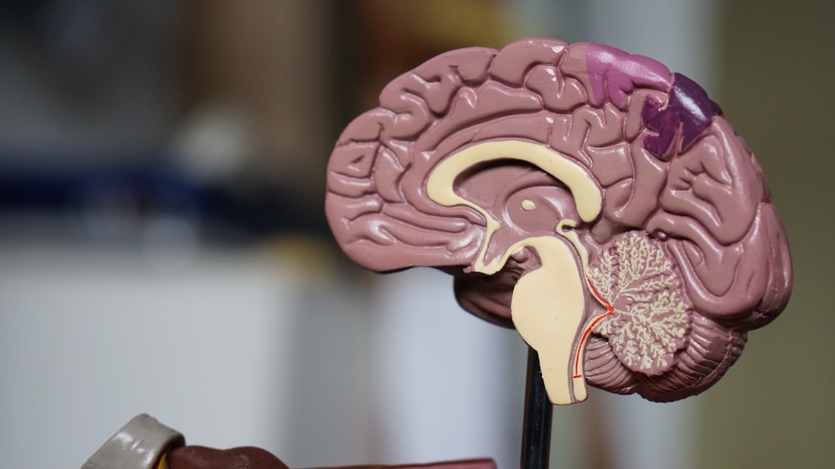 Cognitive Behavioral Therapy in [2026]: Does It Actually Work?