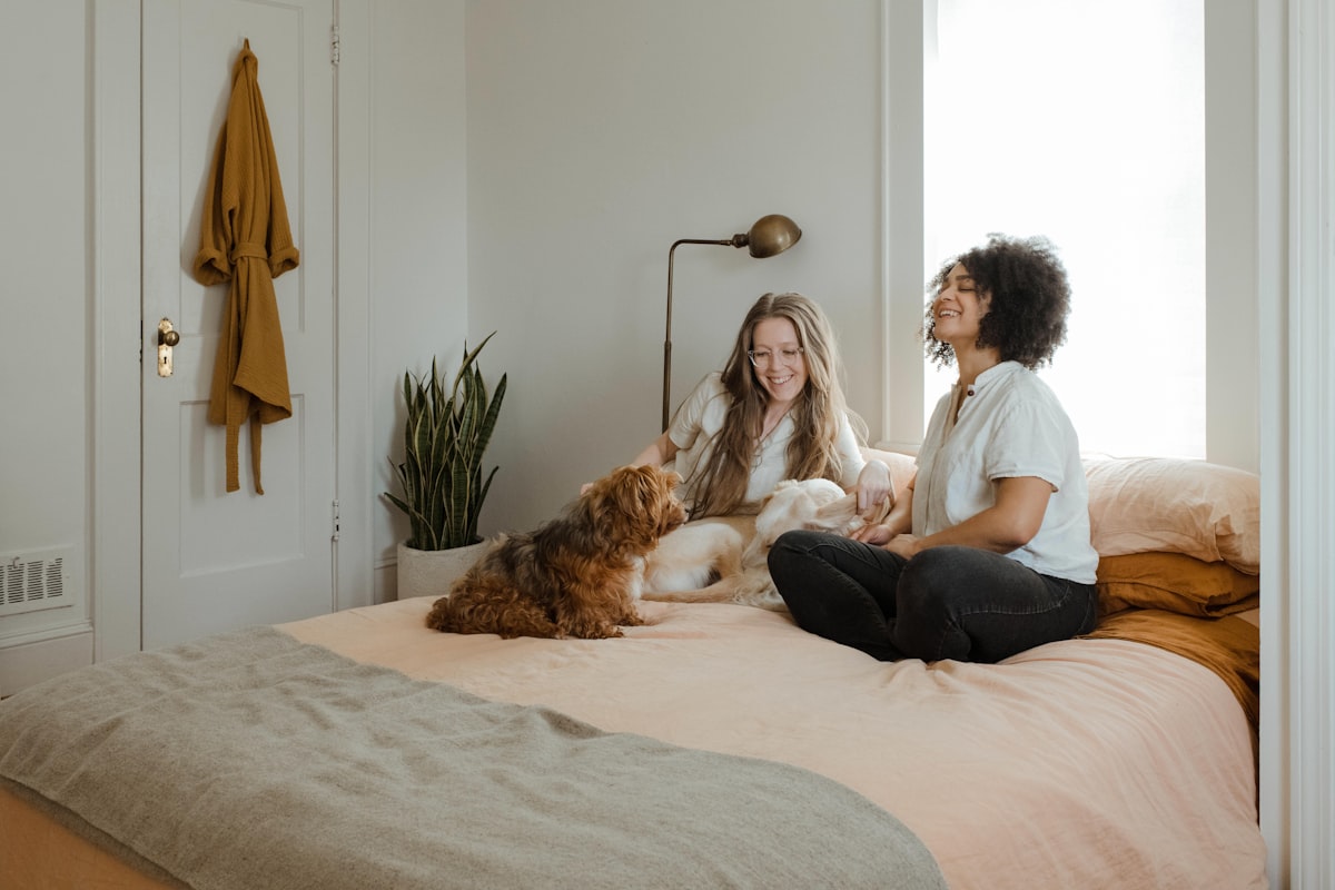 Senior Pet Care: What Changes and What Doesn't [2026]