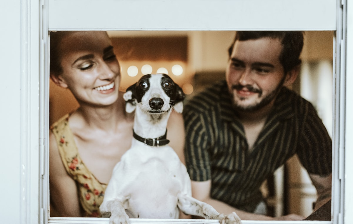 Pet Insurance in [2026]: Is It Worth It and How to Choose
