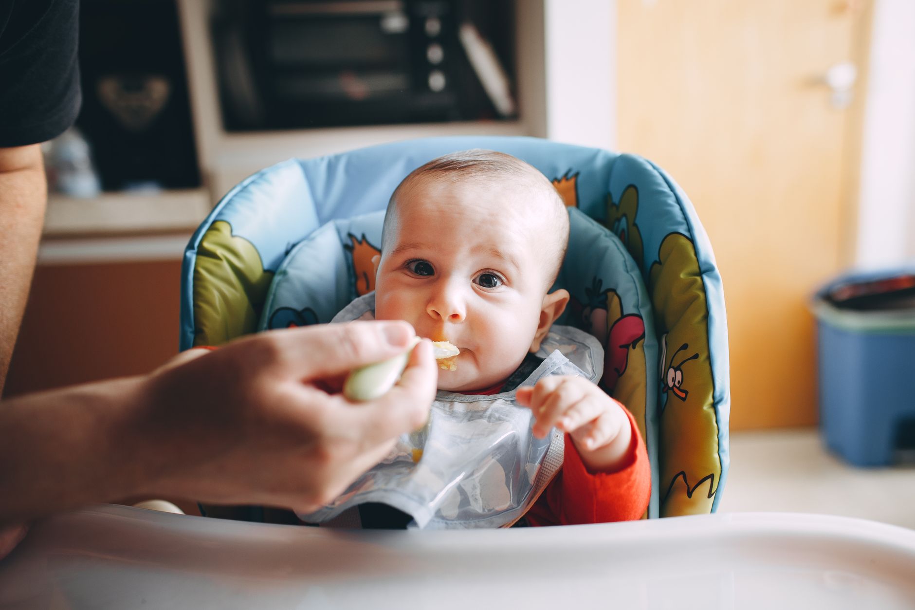 Baby-Led Weaning [2026]: The Complete Honest Guide for First-Time Parents