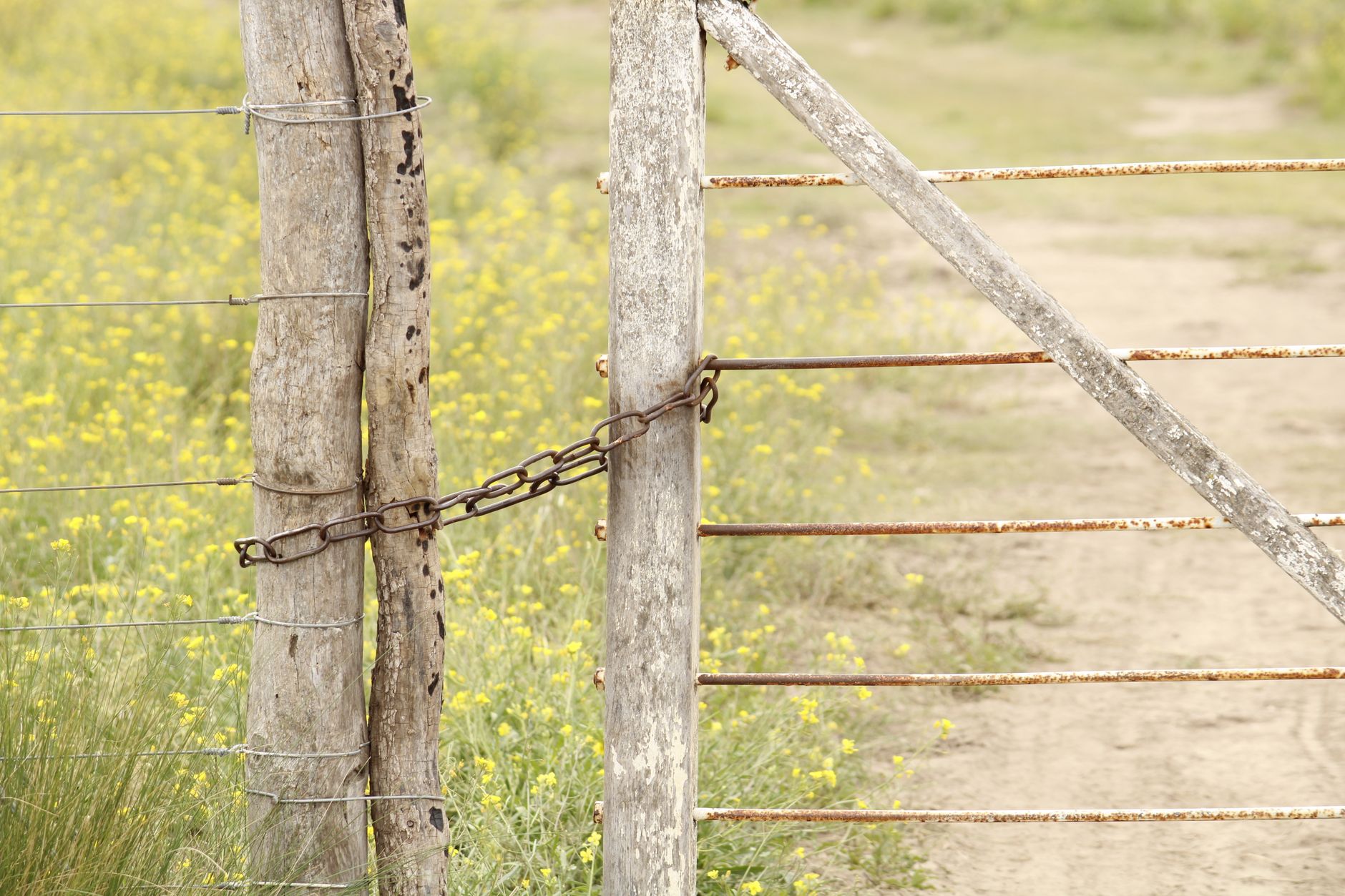 Setting Boundaries: The Honest Guide That Goes Beyond Saying No