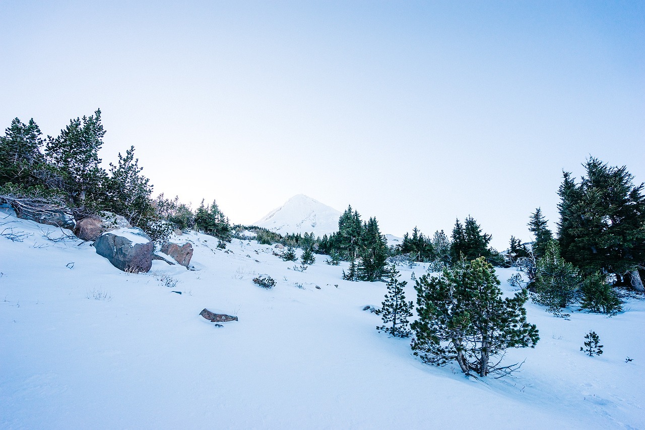 Backpacking for Beginners: What to Know Before Starting [2026]
