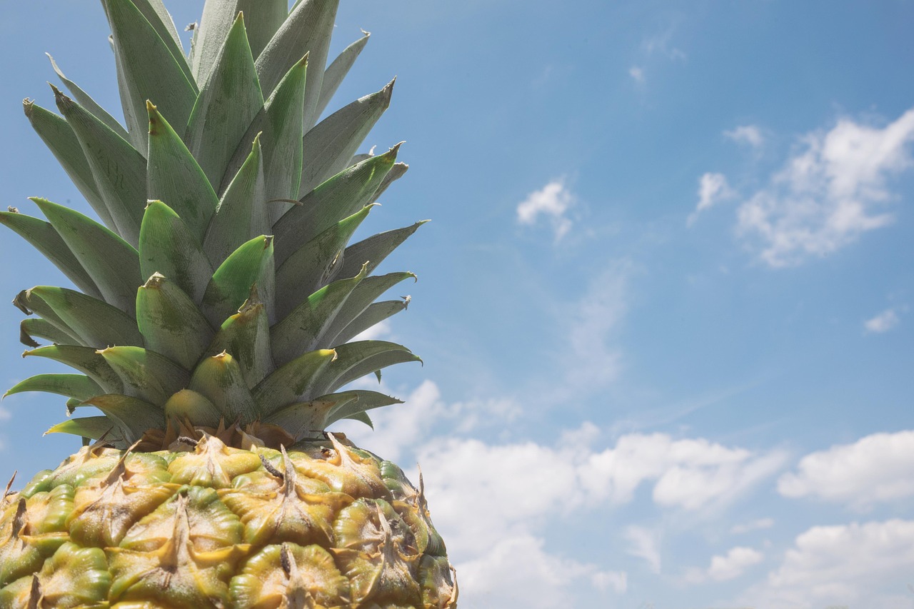 Blue Zone Diets [2026]: What the Research Actually Shows
