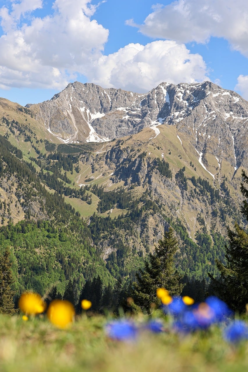 Budget ($50/Day) Europe Travel Guide [2026]: See Europe for Less