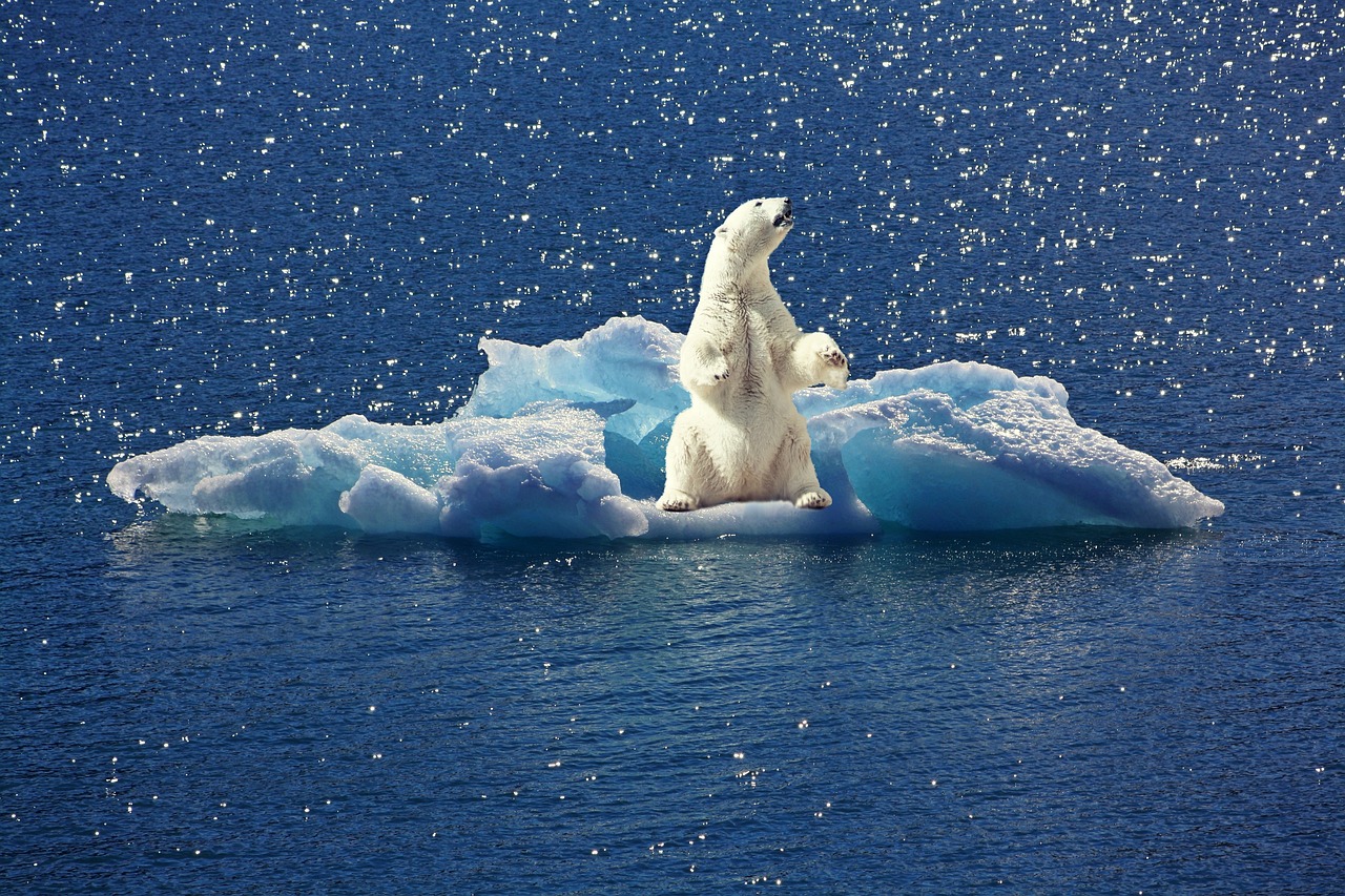 Climate Change [2026]: What the Data Actually Shows in 2026