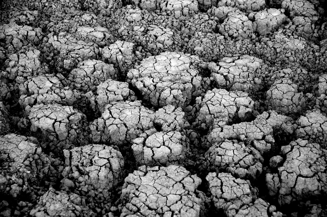 Climate Science in 2026: What We Know With High Confidence vs What Remains Uncertain