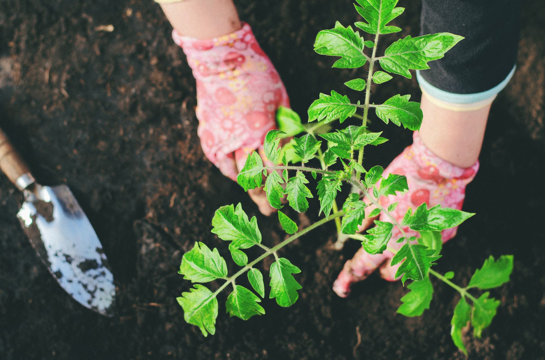 Composting for Beginners [2026]: What Actually Works