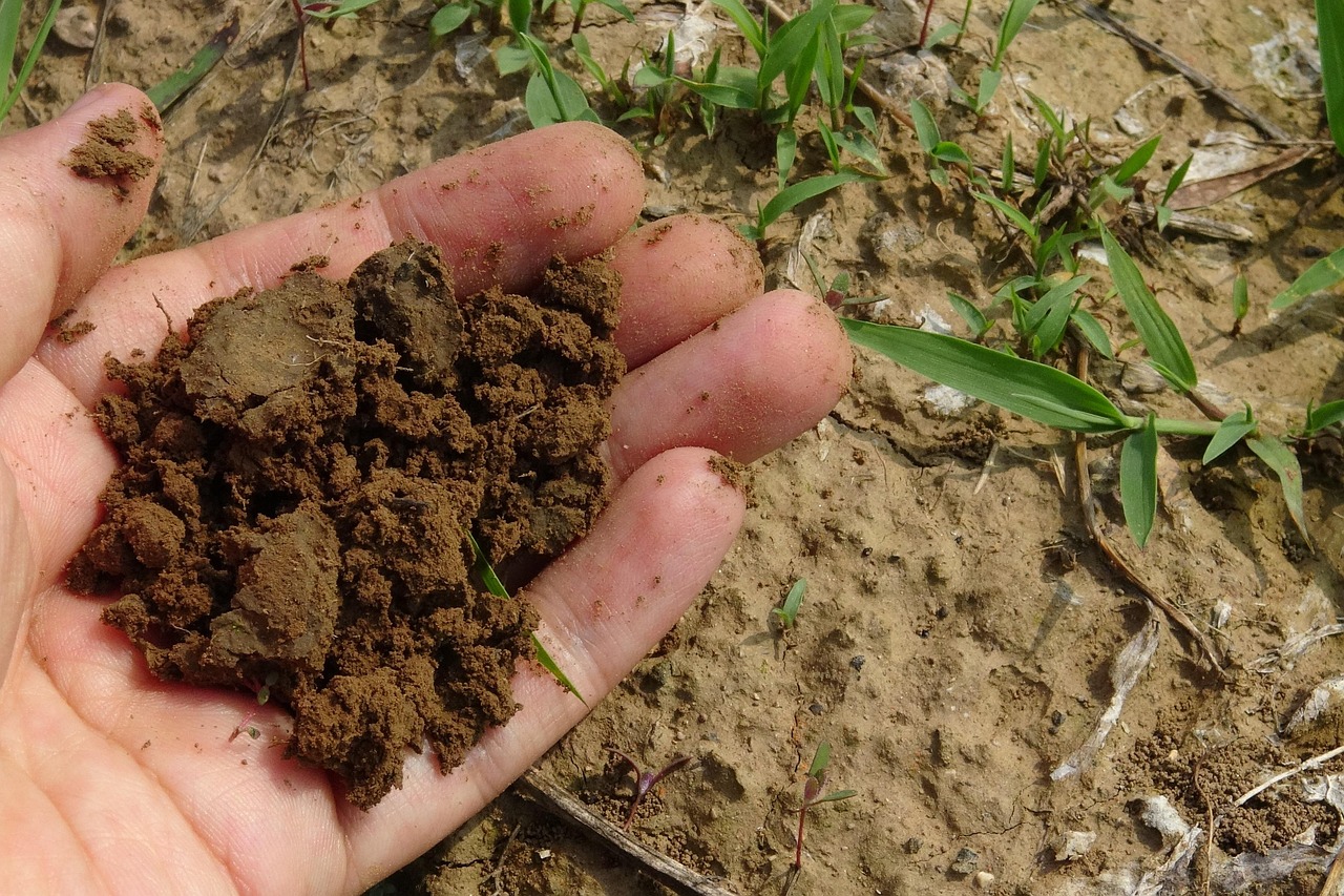 Composting at Home in 2026: The Honest Guide to Starting Without Overthinking It