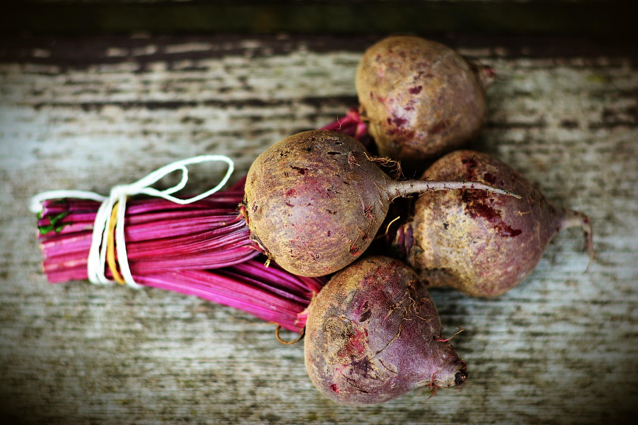 Cycling Nutrition: What to Eat Before, During, and After Rides [2026]