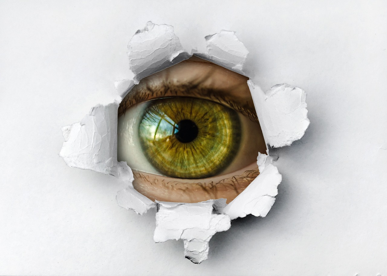 Data Breach Response [2026]: What to Do If Your Data Has Been Compromised