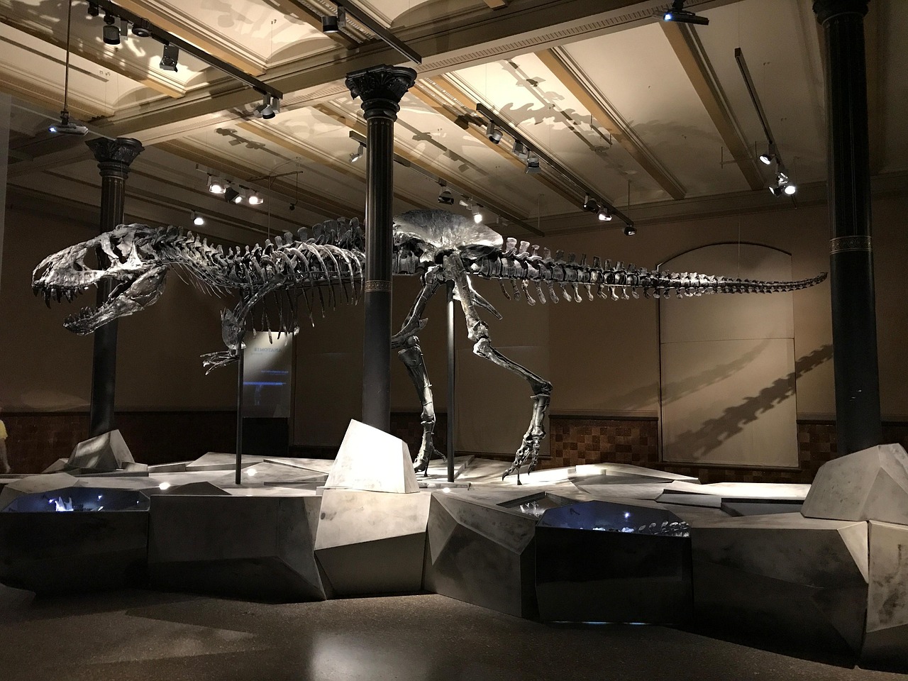 Evolution [2026]: What Darwin Got Right, What's Been Updated, and What's Still Misunderstood