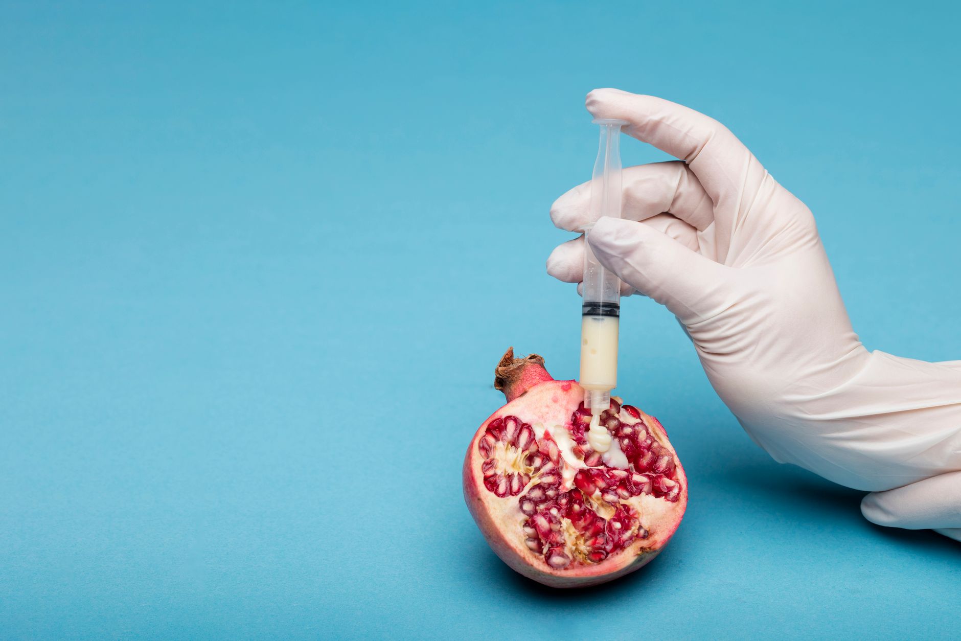 The Science of Fermentation [2026]: What Actually Happens