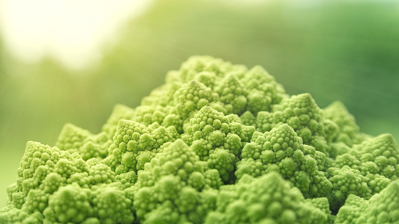 Food Myths Debunked [2026]: What Nutrition Science Actually Shows vs What We Were Told