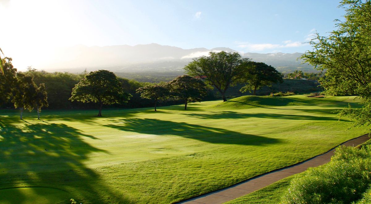 Learning Golf as an Adult in 2026: The Honest Guide That Manages Your Expectations
