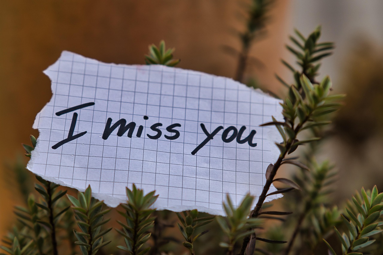 Grief in 2026: The Honest Guide to What Bereavement Actually Involves