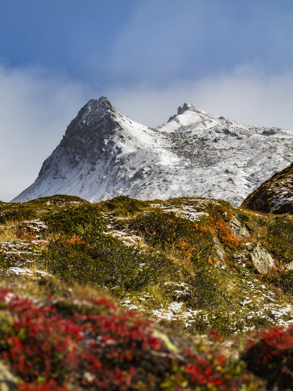 Starting Hiking in: What to Know Before Starting [2026]