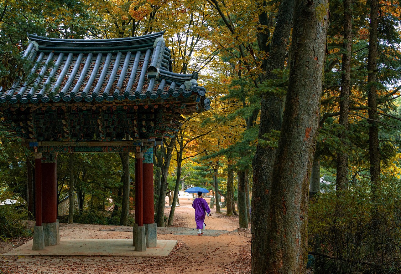 The Korean War in 2026: Why the Forgotten War Still Shapes the World