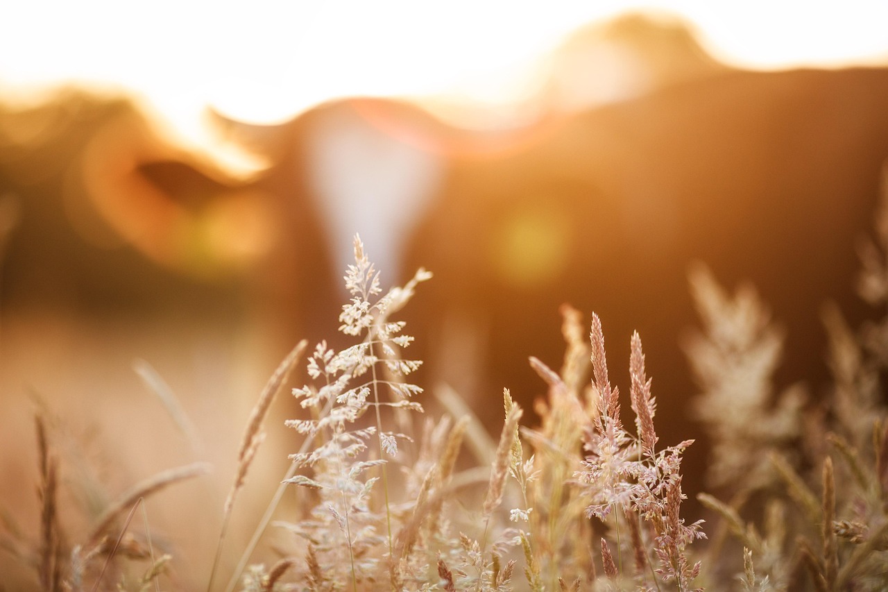 K-Pop Music Production in 2026: The Honest Guide to How the Sound Is Made