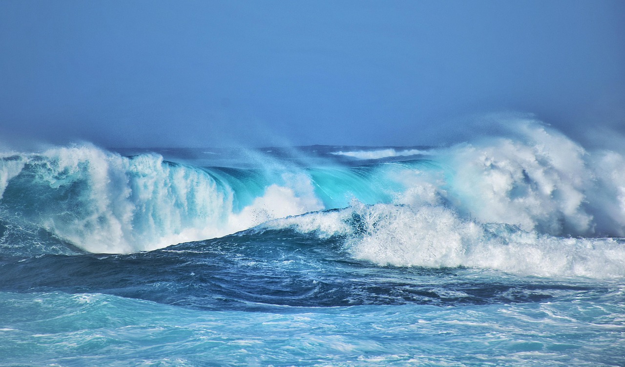 Learning to Surf in 2026: The Honest Guide to What It Actually Takes