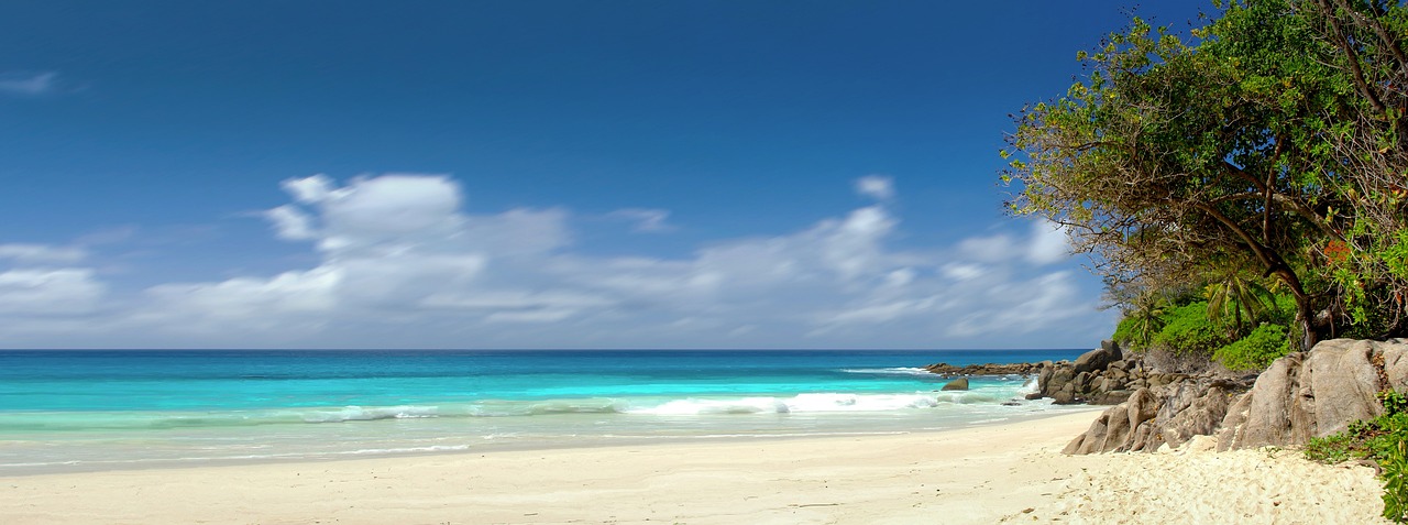 Ocean Acidification [2026]: The Climate Effect Getting Less Attention