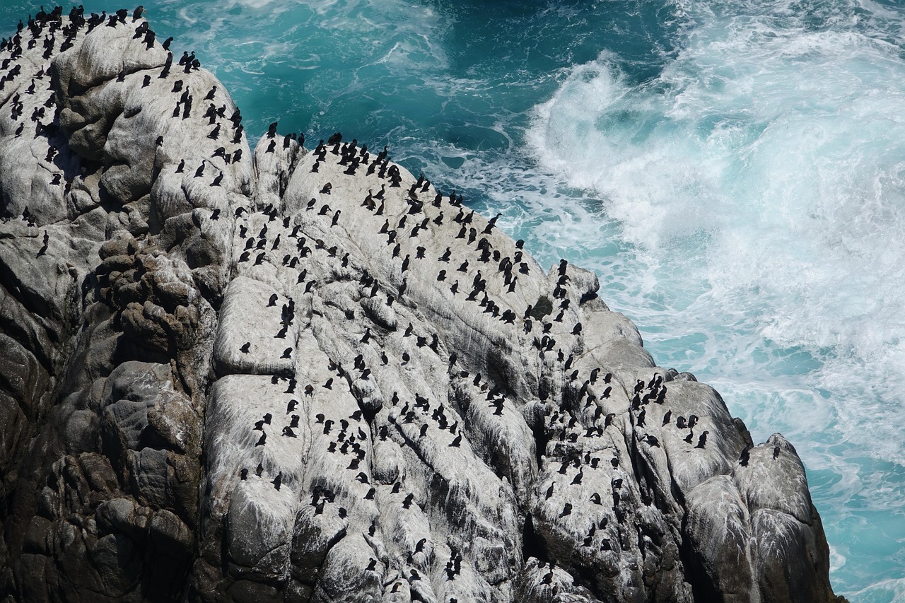 Ocean Acidification in [2026]: How Bad Is It Really?