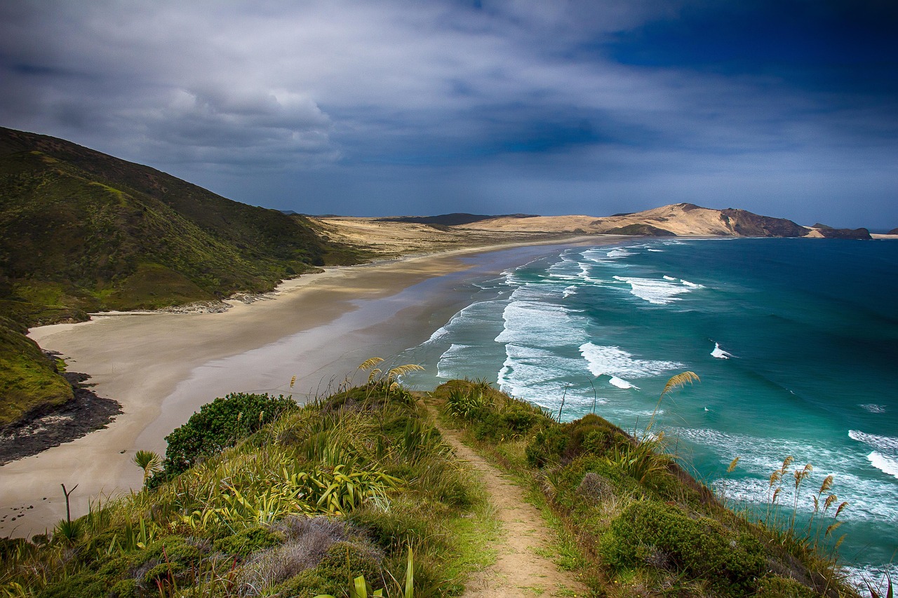Ocean Acidification in [2026]: How Bad Is It Really?