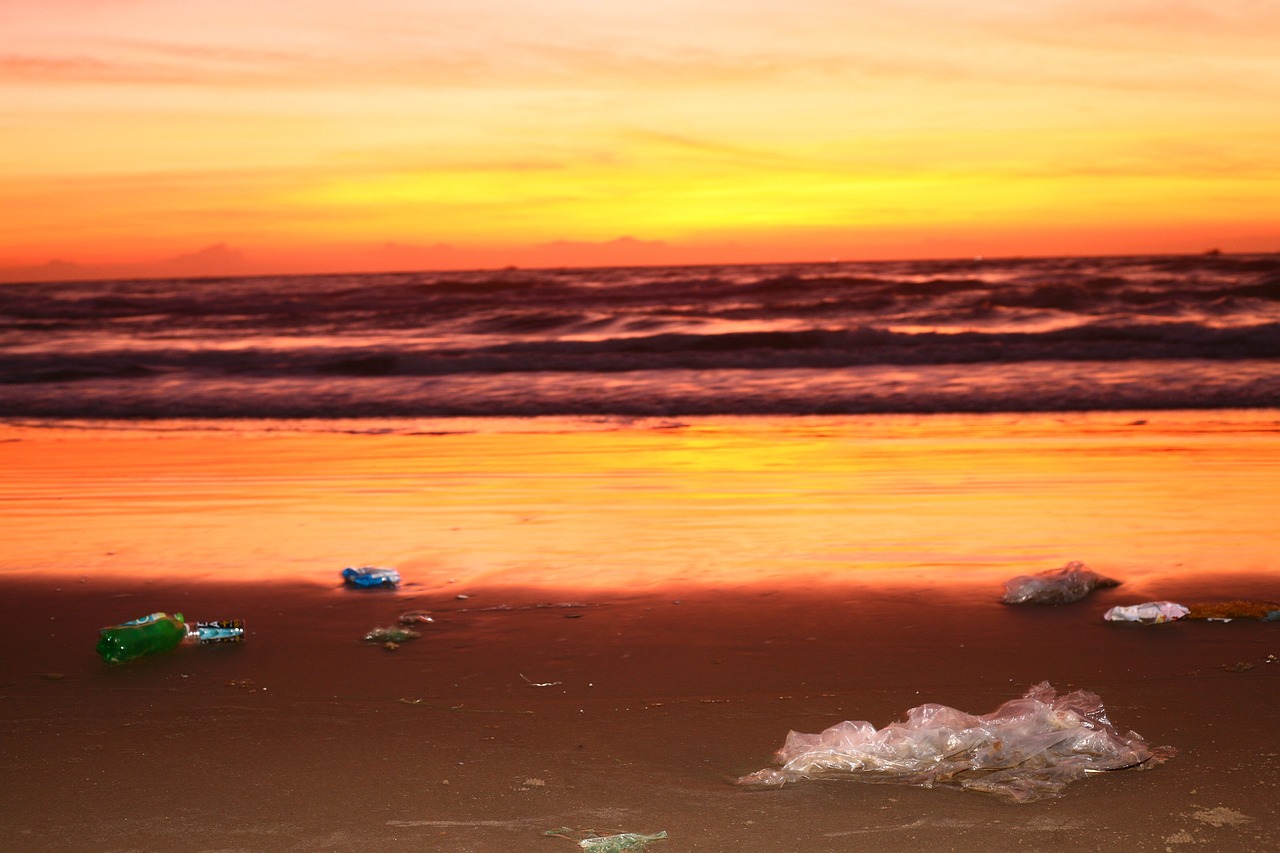 Ocean Plastic [2026]: The Scale of the Problem and 5 Real Solutions