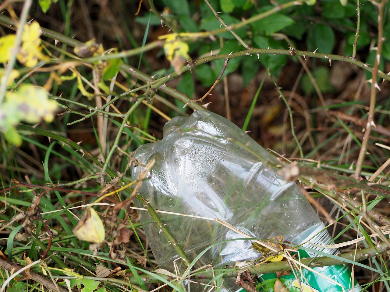 Plastic Pollution in [2026]: What's Happening and What Actually Helps