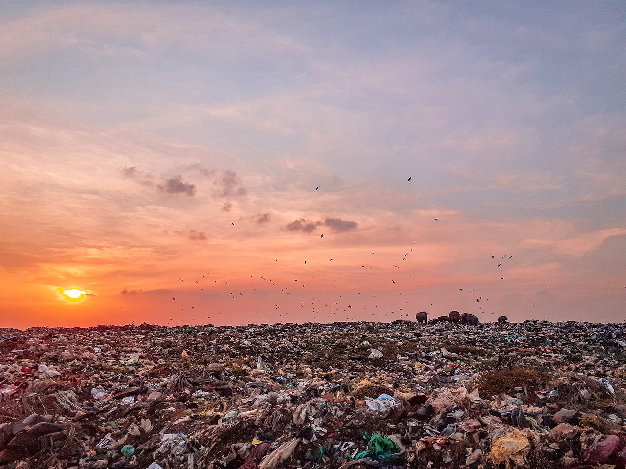 Plastic Pollution in [2026]: What's Happening and What Actually Helps