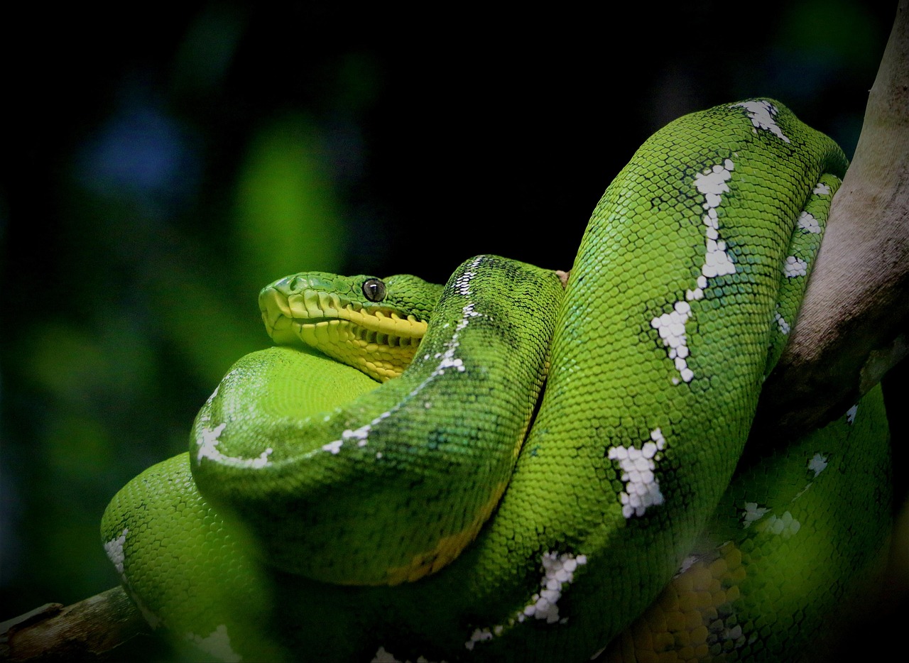 Python for Data Analysis [2026]: Where to Start and What to Learn