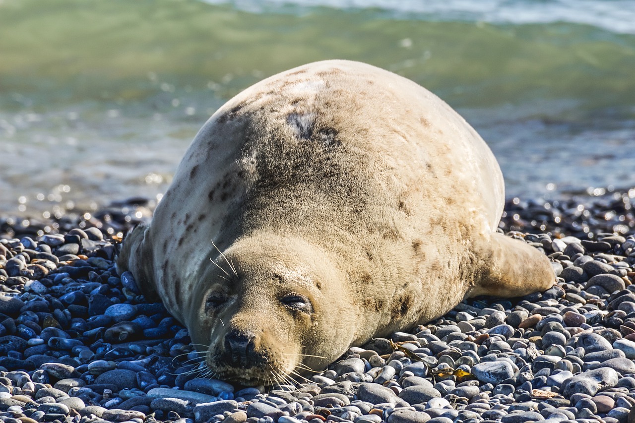 Sleep Optimization [2026]: 7 Evidence-Based Fixes for Better Rest