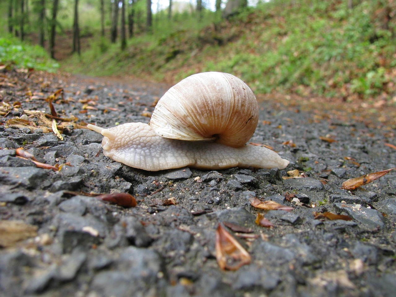 Slow Travel in [2026]: Why Staying Longer Costs Less and Delivers More