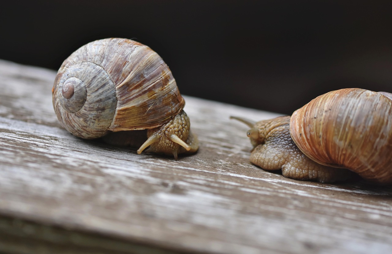 Slow Travel in [2026]: Why Less Is More and How to Do It Right