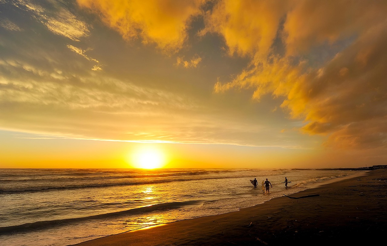 Surfboard Guide for Beginners: Which Board to Buy First [2026]