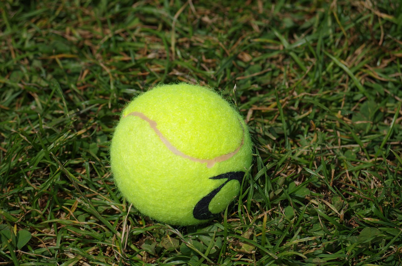 The Grand Slams in: Complete Guide [2026]