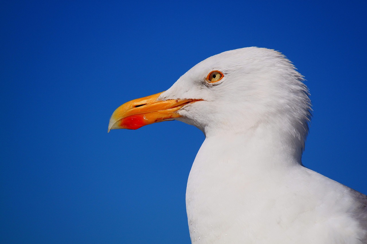 Critical Thinking [2026]: 7 Skills That Make You Harder to Fool