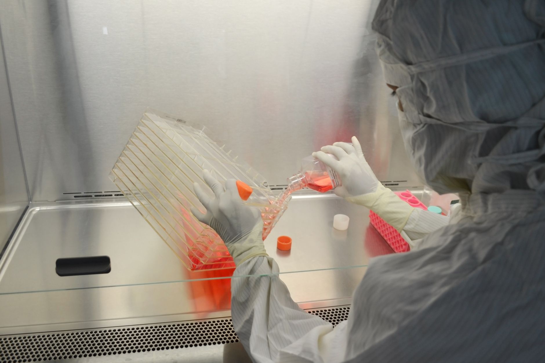 Gene Editing [2026]: What CRISPR Has Actually Delivered