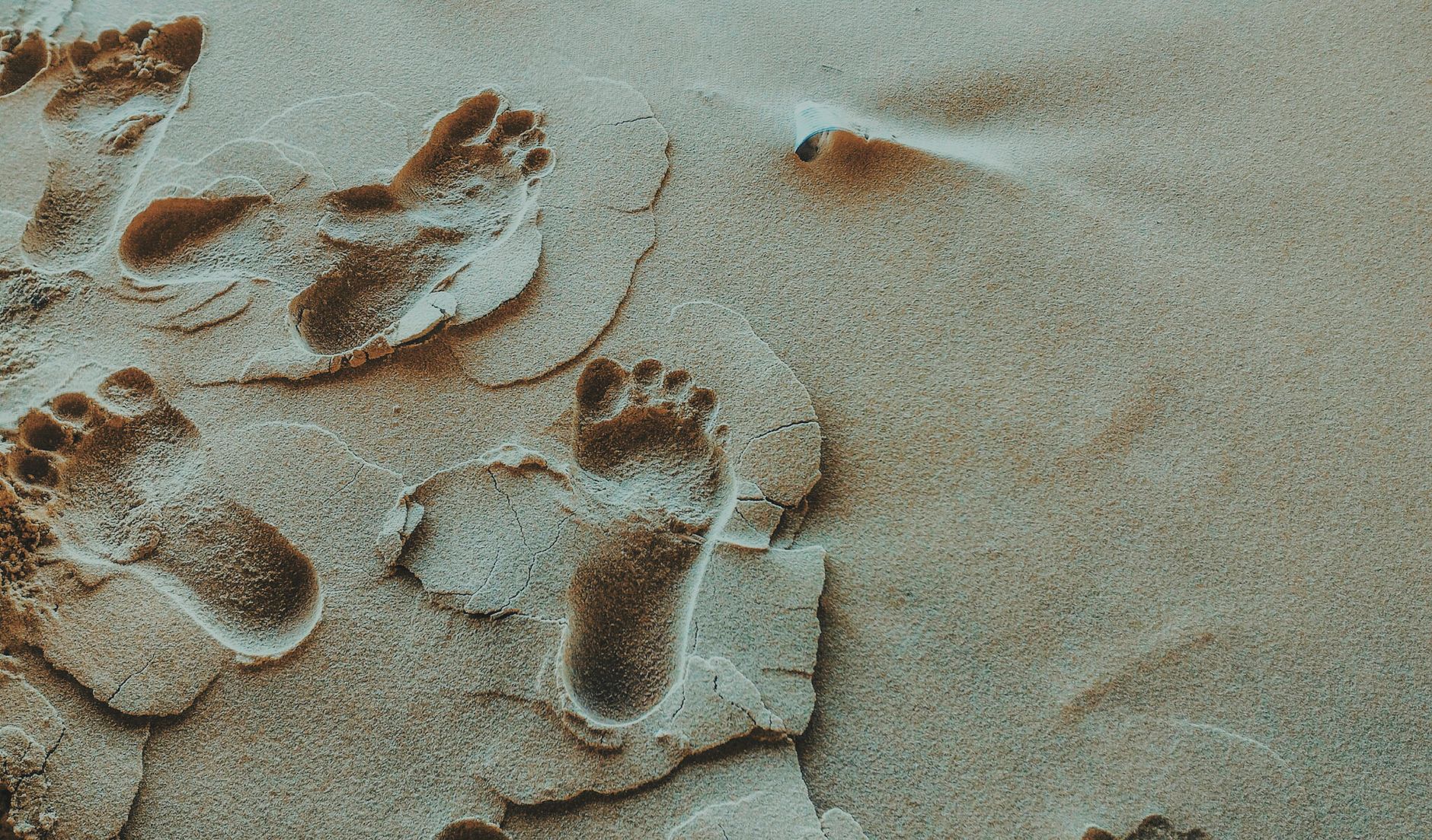 Leave No Trace [2026]: The Principles That Protect Wild Places and How to Apply Them